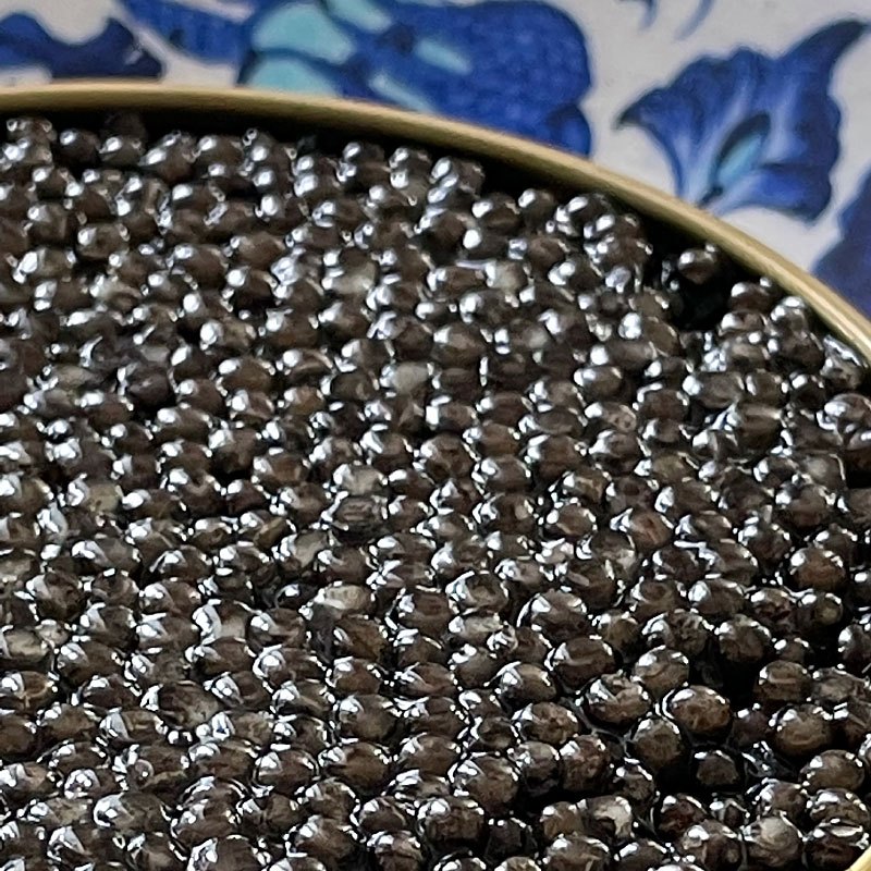 Caviar Noir, Osciètre Premium Caviar Frais, 200gr Caviar Noir Premium Caviar 28 Caviar Noir, Osciètre Premium Caviar Frais, 200gr Caviar Noir Premium Caviar 28