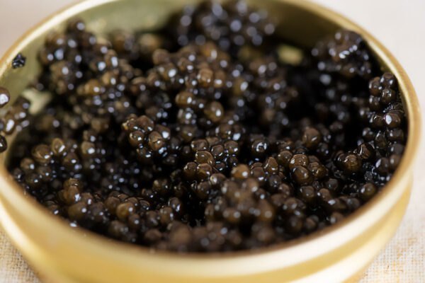 How can you identify high quality black caviar when shopping? Premiumcaviar 6 1