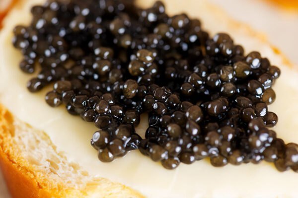 The perfect harmony of flavor and preservation in malossol caviar Premium Caviar 17